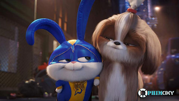 Đẳng Cấp Thú Cưng 2 (The Secret Life Of Pets 2) 2019 - 1