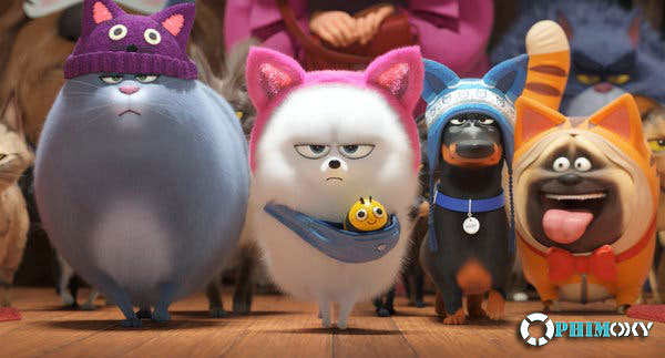 Đẳng Cấp Thú Cưng 2 (The Secret Life Of Pets 2) 2019 - 2